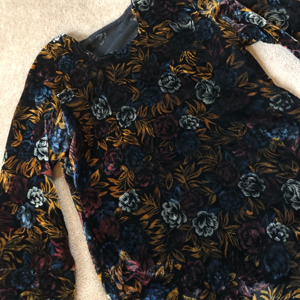 Vintage Velvet dress